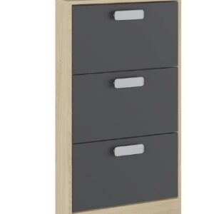 Zapatero 3 puertas Donald